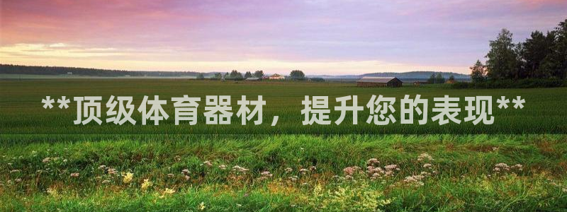 星澳娱乐公司地址：**顶级体育器材，提升您的表现**