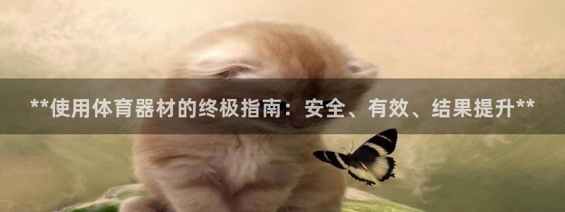 星欧娱乐公司创始人背景故事：**使用体育器材的终极指