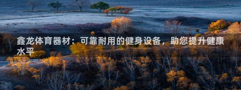 星欧娱乐扣款时间查询方法是什么样的：鑫龙体育器材：可