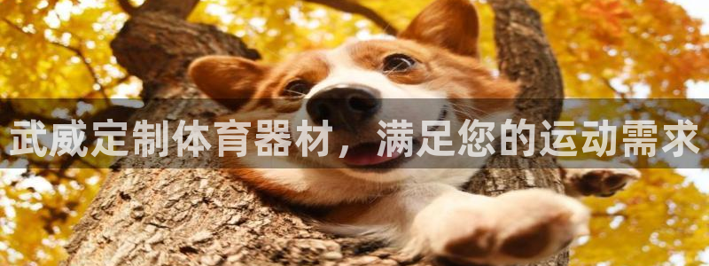星澳娱乐公司：武威定制体育器材，满足您的运动需求