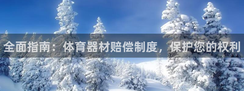 星欧娱乐游戏官网：全面指南：体育器材赔偿制度，保护您