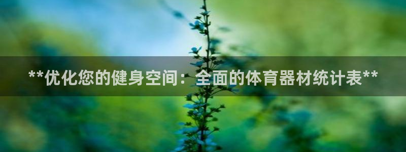 星欧娱乐扣钱步骤详解：**优化您的健身空间：全面的体