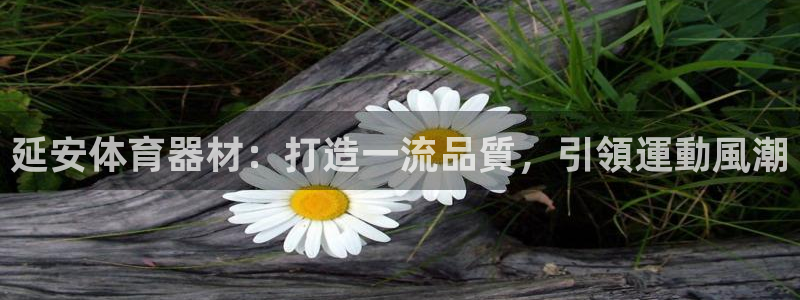 星欧娱乐扣款时间查询方法是什么呢：延安体育器材：打造