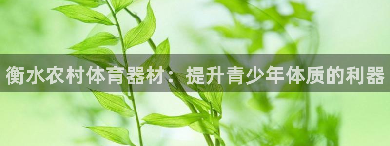 星欧娱乐用户名和密码：衡水农村体育器材：提升青少年体