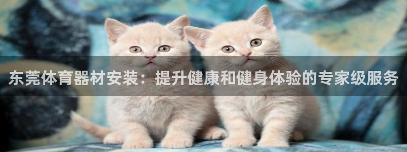 星欧娱乐是正规平台吗安全吗：东莞体育器材安装：提升健