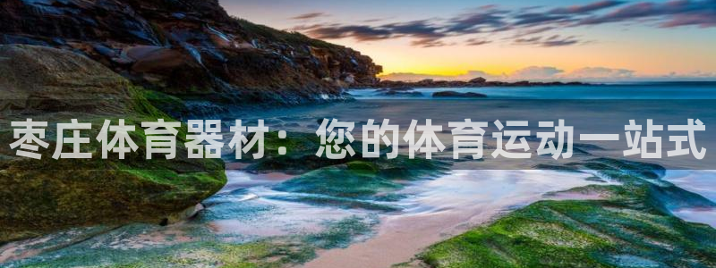 星欧娱乐官网首页下载：枣庄体育器材：您的体育运动一站