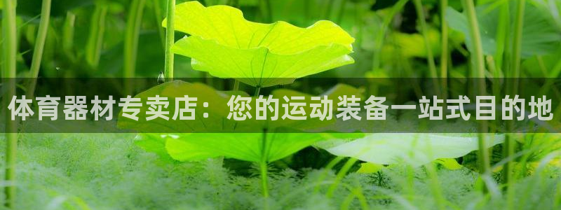 星欧娱乐和嫲薇他的区别是什么：体育器材专卖店：您的运