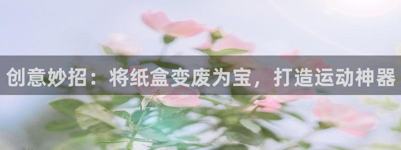 星欧娱乐官方客服联系方式是什么：创意妙招：将纸盒变废