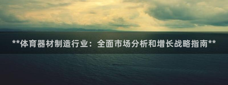 星欧娱乐扣款流程详解图片：**体育器材制造行业：全面