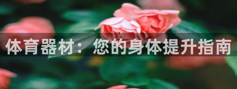 星欧娱乐是什么品牌：体育器材：您的身体提升指南