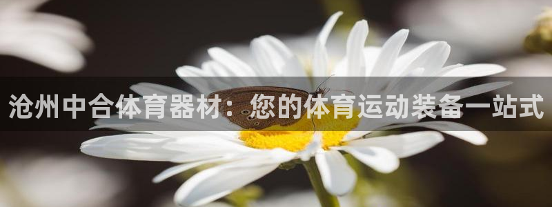 星欧娱乐公司电话号码查询