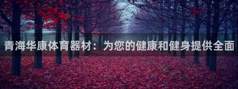 星欧娱乐还能玩吗：青海华康体育器材：为您的健康和健身