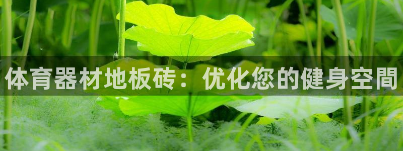 星欧娱乐和嫲薇他的区别是什么：体育器材地板砖：优化您