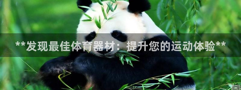 星欧娱乐平台量7O777：**发现最佳体育器材：提升
