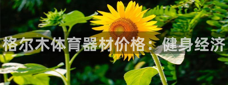 星欧娱乐app最新版本更新内容下载：格尔木体育器材价