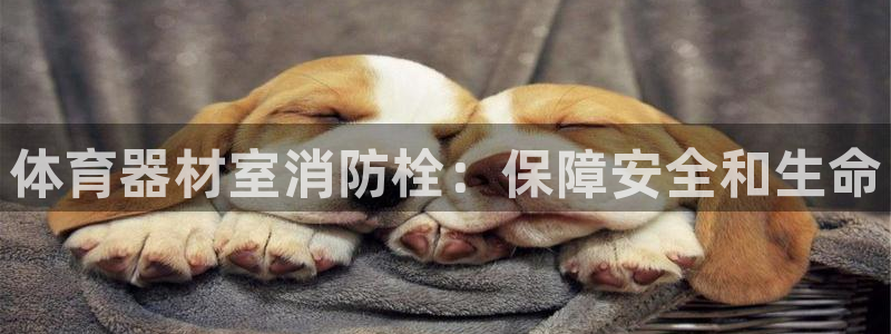 星欧娱乐公司电话号码查询：体育器材室消防栓：保障安全