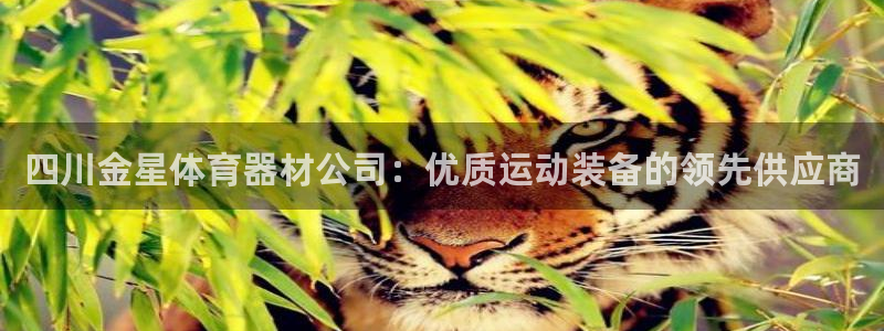 传奇星娱乐：四川金星体育器材公司：优质运动装备的领先