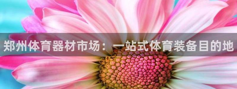 星欧娱乐平台怎么样知乎：郑州体育器材市场：一站式体育