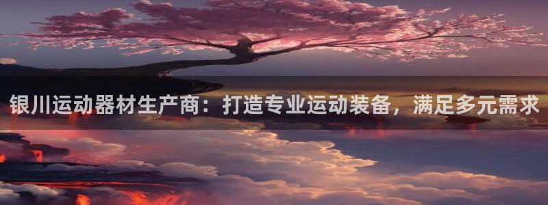 星欧娱乐的创始人背景故事简介：银川运动器材生产商：打