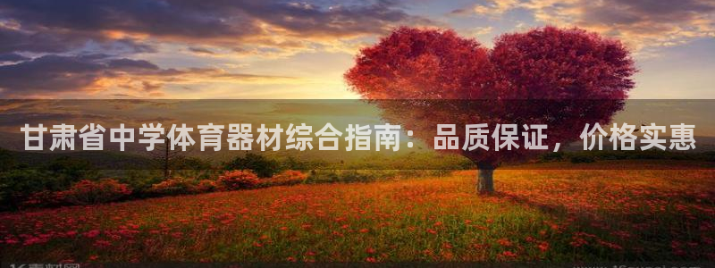 星欧娱乐扣款流程详解视频：甘肃省中学体育器材综合指南