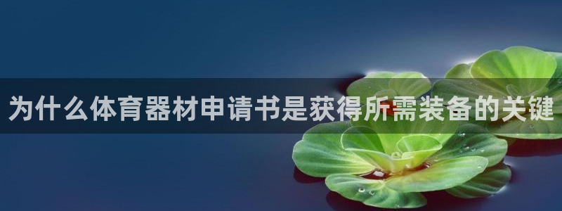 星欧娱乐属于什么档次的公司名称：为什么体育器材申请书