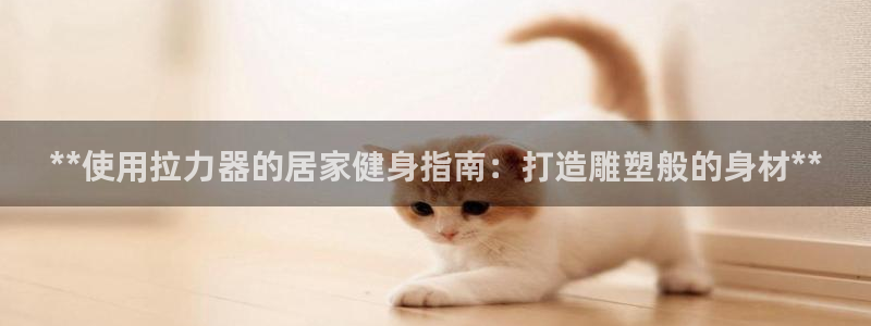 星欧娱乐扣款流程详解视频教程：**使用拉力器的居家健