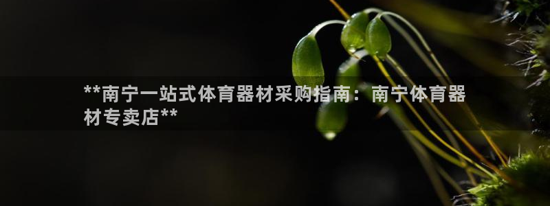 星欧娱乐退款流程详解：**南宁一站式体育器材采购指南