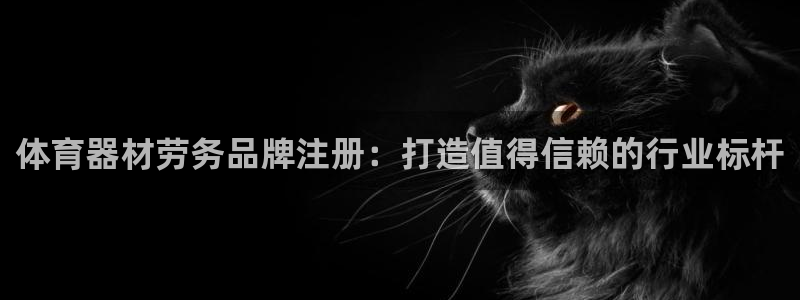 星奥娱乐集团怎么样：体育器材劳务品牌注册：打造值得信