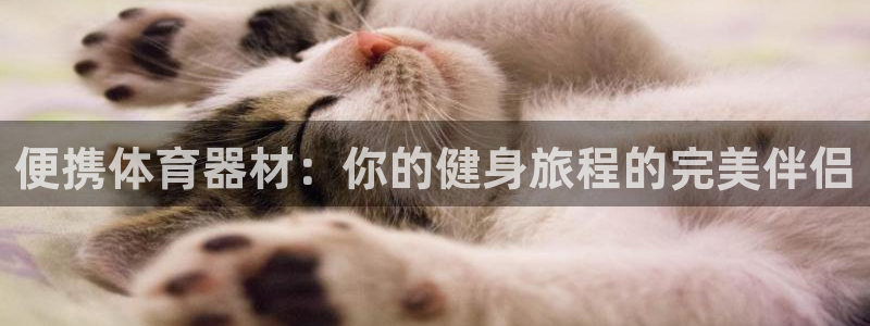 星欧娱乐是正规平台吗安全吗是真的吗：便携体育器材：你