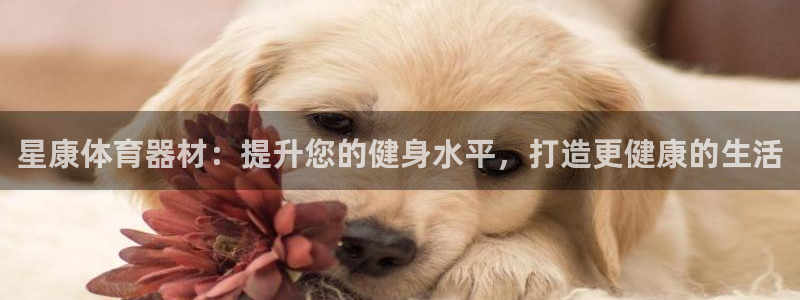 星欧娱乐银行卡怎么登录：星康体育器材：提升您的健身水