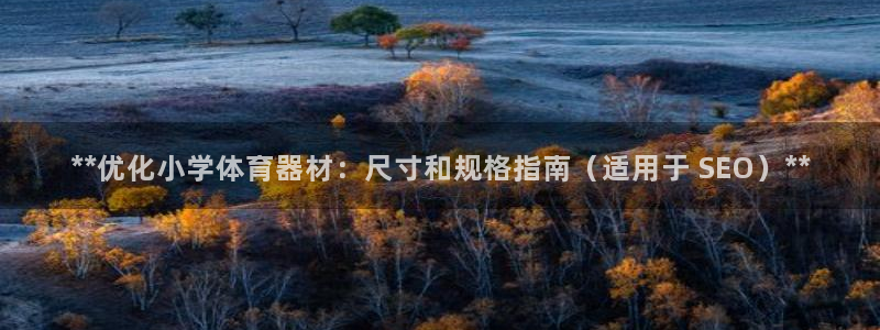 星奥娱乐集团：**优化小学体育器材：尺寸和规格指南（