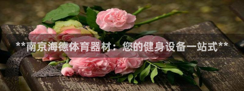 星乐娱乐官网：**南京海德体育器材：您的健身设备一站