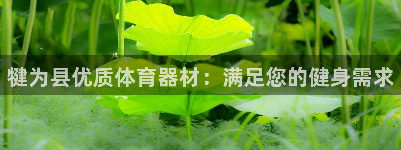 江苏星奥娱乐有限公司报名：犍为县优质体育器材：满足您