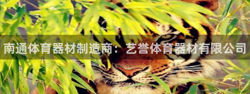星欧娱乐扣款流程详解图片大全：南通体育器材制造商：艺