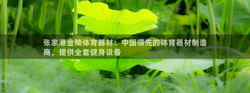 星欧娱乐扣款：张家港金陵体育器材：中国领先的体育器材