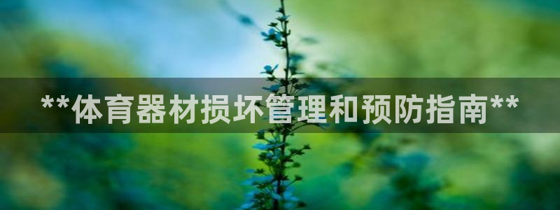 星欧娱乐平台怎么样啊：**体育器材损坏管理和预防指南