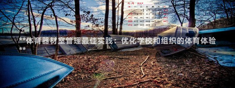 传奇星娱乐：**体育器材室管理最佳实践：优化学校和组