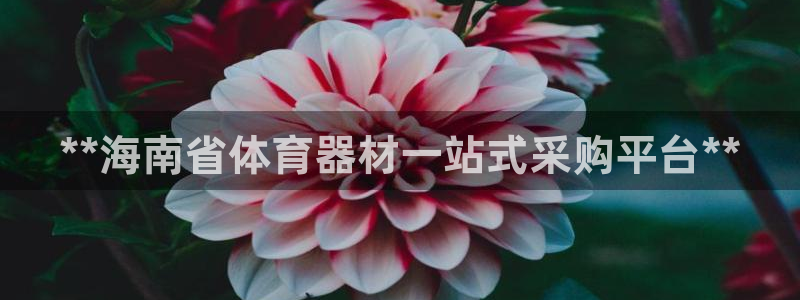 星欧娱乐平台怎么样知乎推荐：**海南省体育器材一站式