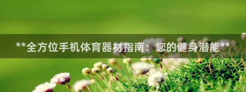星奥娱乐集团官网：**全方位手机体育器材指南：您的健