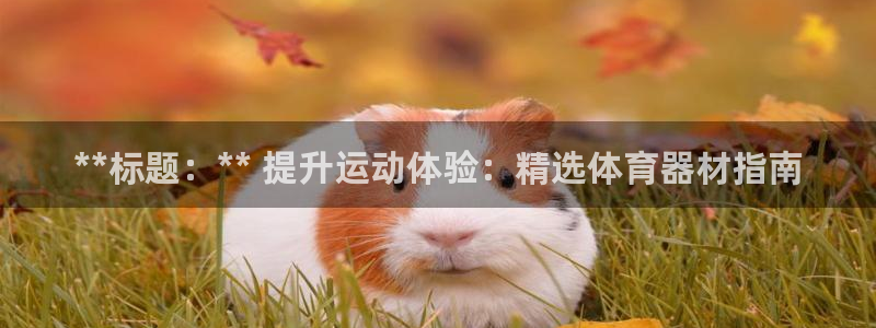 星欧娱乐官方客服联系方式查询：**标题：** 提升运