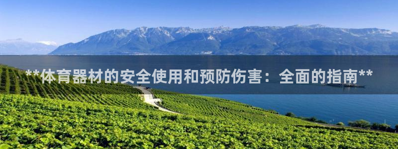 星欧娱乐联游戏评测：**体育器材的安全使用和预防伤害