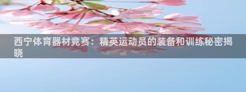 星奥娱乐艺人：西宁体育器材竞赛：精英运动员的装备和训