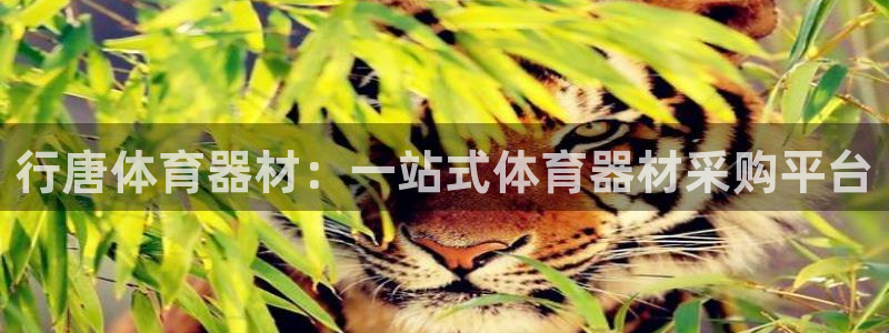 星欧娱乐app最新版本更新内容下载：行唐体育器材：一