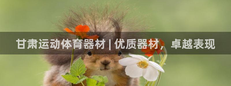 星欧娱乐app最新版本更新内容是什么：甘肃运动体育器