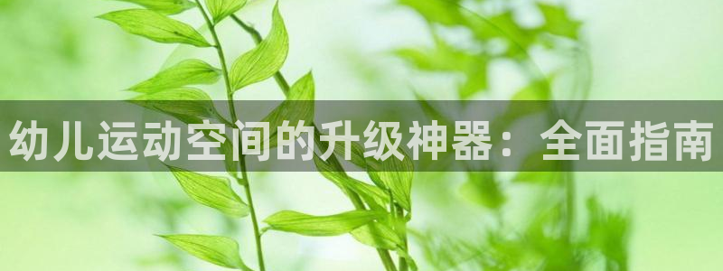 星欧娱乐最建议买的三个游戏是什么：幼儿运动空间的升级