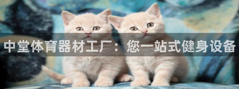星欧娱乐工客服电话24小时人工服务：中堂体育器材工厂
