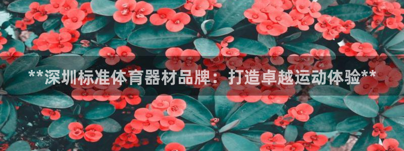 星奥娱乐旗下艺人：**深圳标准体育器材品牌：打造卓越