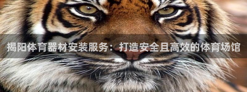 星欧娱乐挂机赚钱：揭阳体育器材安装服务：打造安全且高