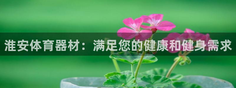 星欧娱乐挂机：淮安体育器材：满足您的健康和健身需求