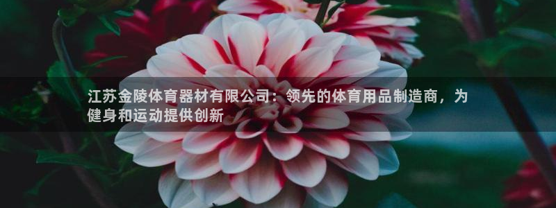 星欧娱乐法711.112怎么扣钱：江苏金陵体育器材有
